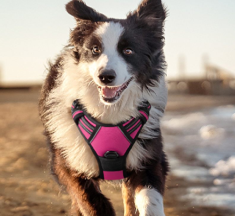 Pet Gardening Harness Vest With Thickened Explosion-Proof Design For Dogs, Cross-Border Style Dog Clothing, Dog Vest, Pet