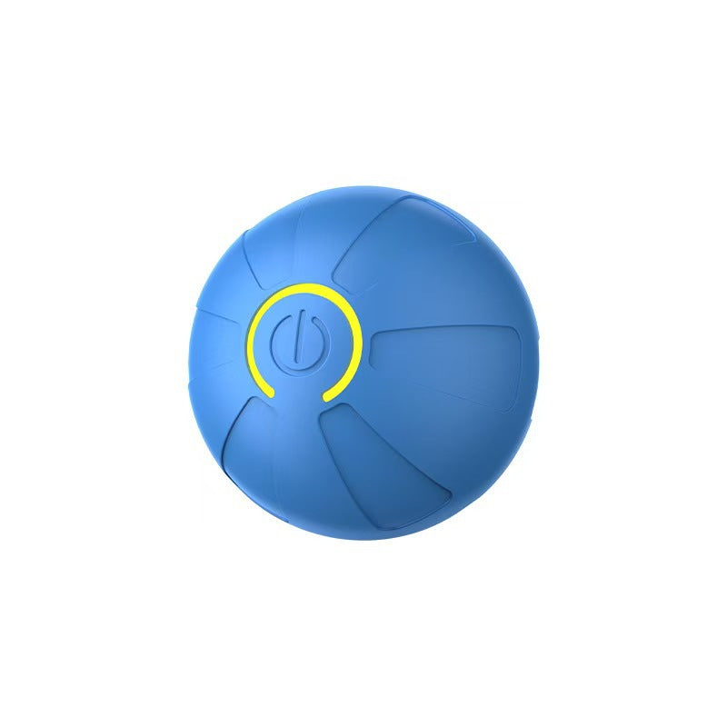 4890200173262